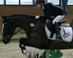 Springpferd Dream Carina (Deutsches Reitpony, 2005, von FS Champion de Luxe)