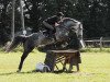 jumper Sleepy Diamond (Irish Sport Horse, 2004, from All The Diamonds)