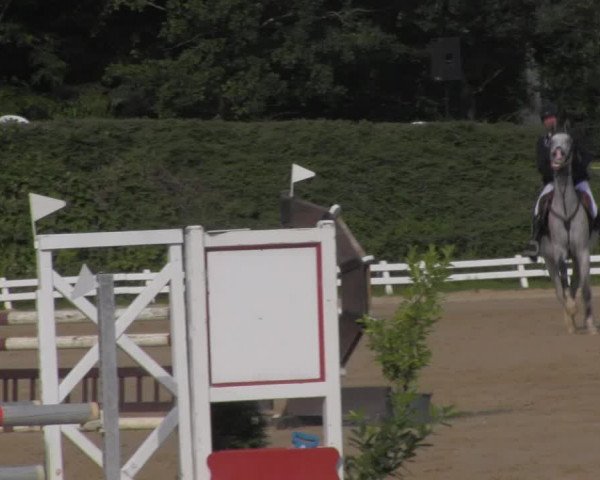 Reitturnier Pietzpuhl 2020