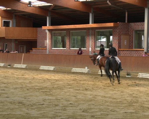 Reitturnier Seppenrade 2020