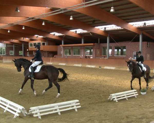 Reitturnier Seppenrade 2020