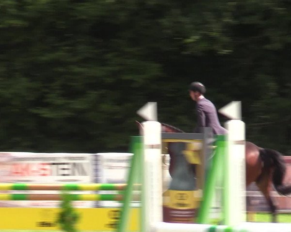 Reitturnier Greven 2020