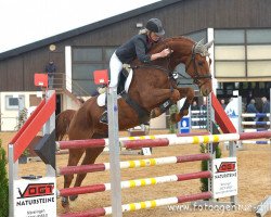 Springpferd Balulu Z (Zangersheide Reitpferd, 2009, von Balougran)