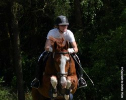 jumper Escuipe de Coeur (Hanoverian, 2004, from Escudo I)