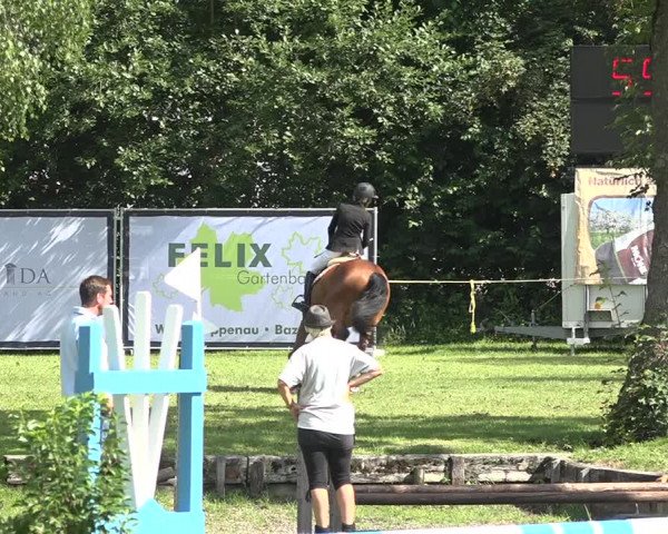 Reitturnier Wil 2020