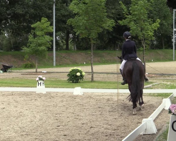 Reitturnier Greven 2020