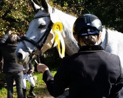 dressage horse Filessa (German Riding Pony, 2008, from Joldis Charmant)