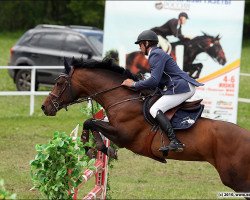 stallion Grand Libero (Hanoverian, 1998, from Libero H)