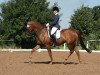 dressage horse Franziska 224 (Westphalian, 2010, from Fleury)