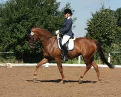 dressage horse Franziska 224 (Westphalian, 2010, from Fleury)