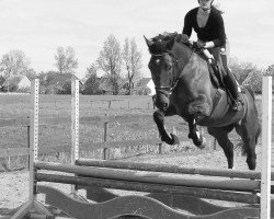 dressage horse Mic-Mac (unbekannt, 2009, from Magic Memphis)