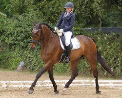 dressage horse Lord Rivalo (Württemberger, 2009, from Lord Falo S)