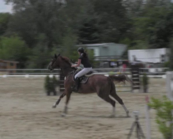 Reitturnier Pietzpuhl 2020