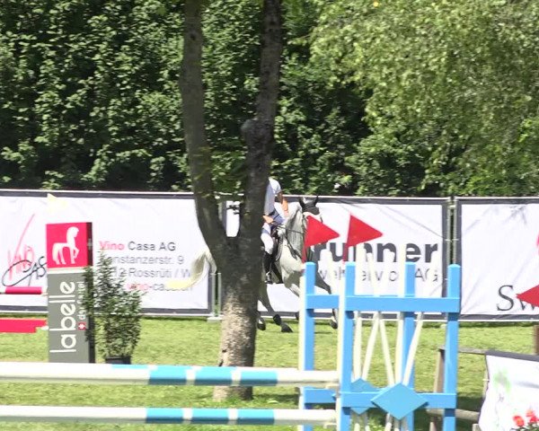 Reitturnier Wil 2020