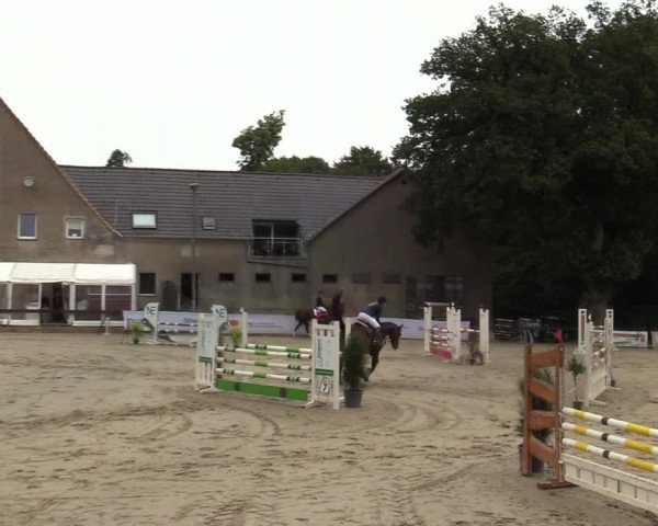 Pferdeleistungsschau des RSC Buchenhof Ibbenbüren 2021