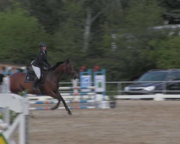 Reitturnier Pietzpuhl 2020