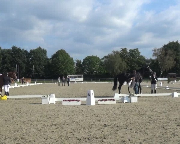 Reitturnier Langenfeld - Gut Langfort 2020