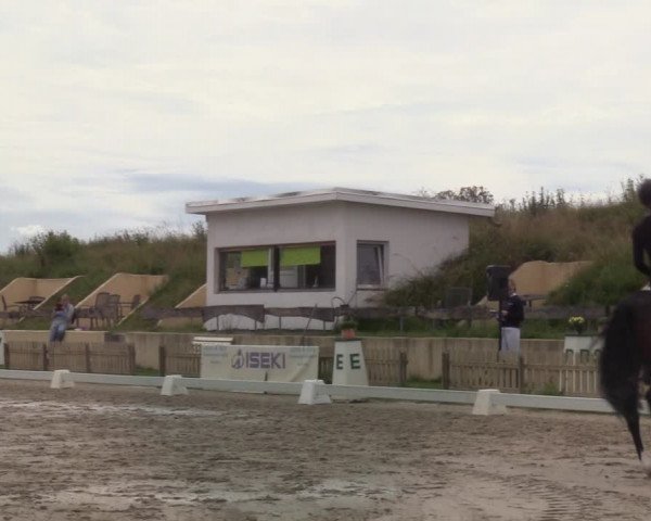Reitturnier Schülp / Rendsburg 2020