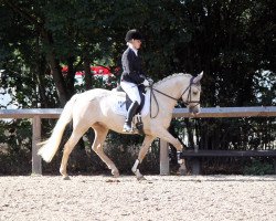 dressage horse Rohlsdorfs High Hope (German Riding Pony, 2012, from Casino Royale K WE)