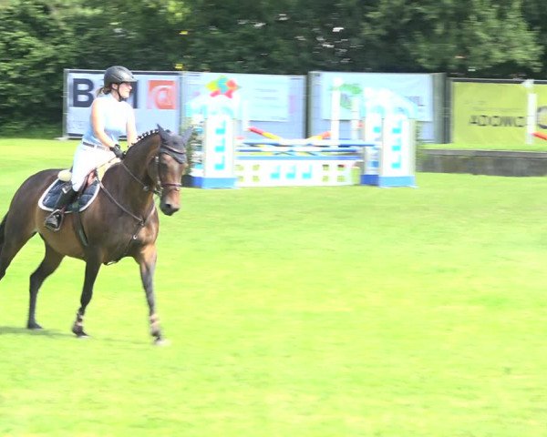 Reitturnier Wil 2020
