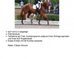 broodmare Katana (Trakehner, 2008, from Luecke)