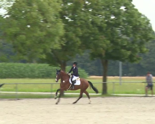 Reitturnier Rot am See- Musdorf 2020