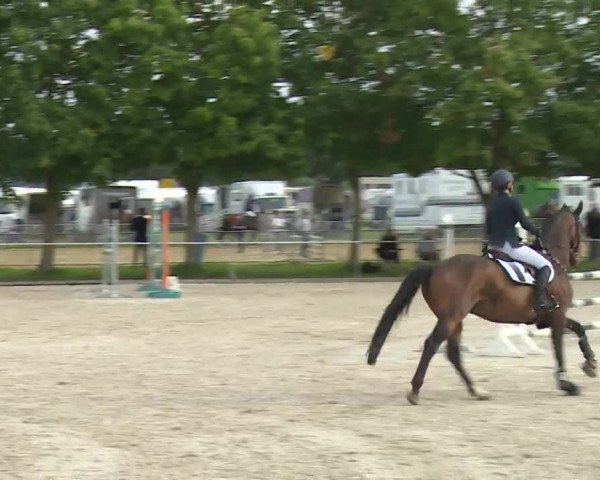 Reitturnier Rot am See- Musdorf 2020