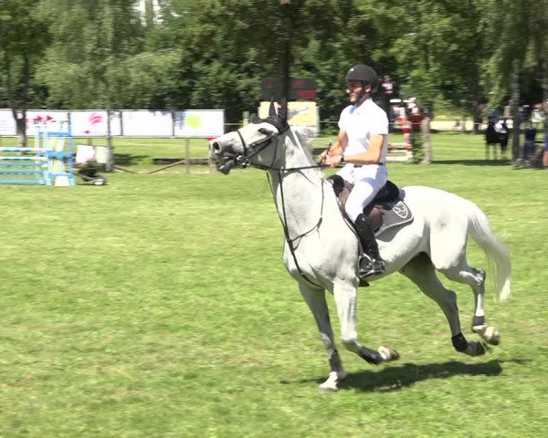 Reitturnier Wil 2020