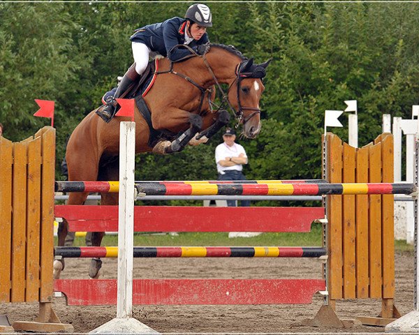 Pferd Kairo vom Schlösslihof (Schweizer Warmblut, 2002, von Karondo vom Schlösslihof)