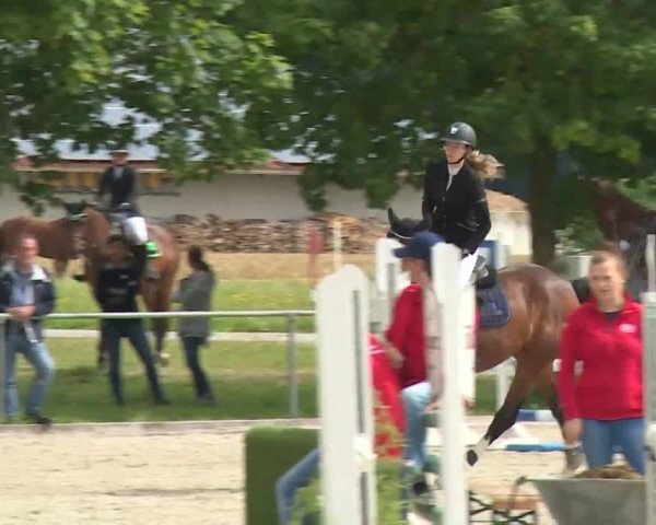 Reitturnier Rot am See- Musdorf 2020