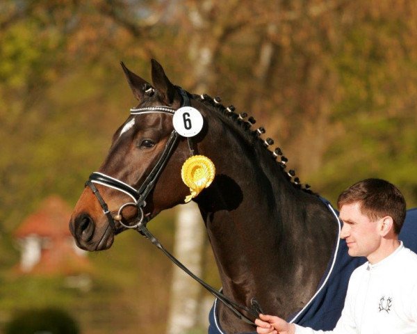 broodmare Knightley (Trakehner, 2012, from All Inclusive)