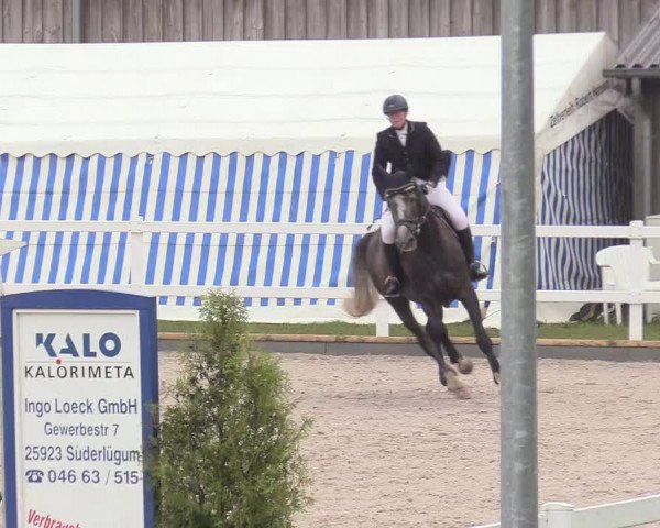 Reitturnier Ladelund 2020