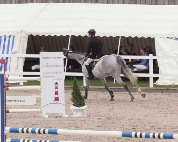 Reitturnier Ladelund 2020