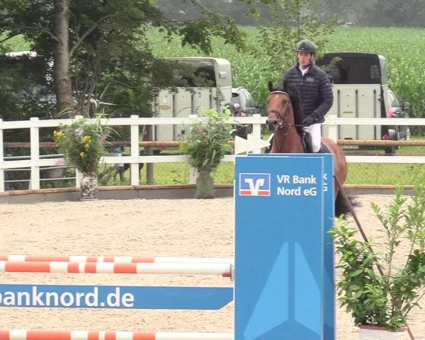 Reitturnier Ladelund 2020