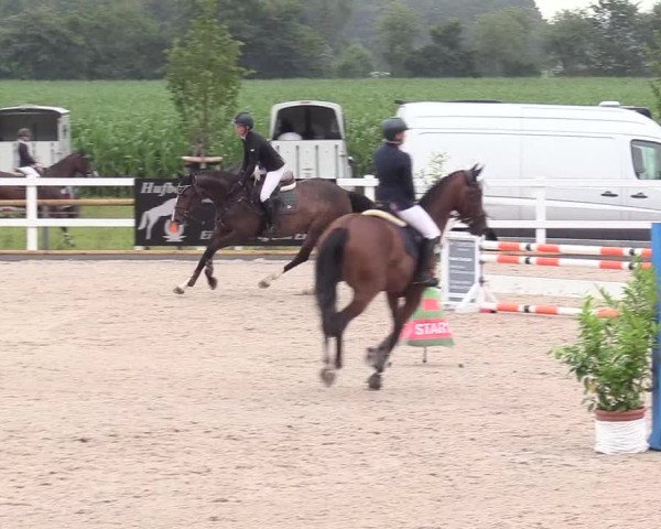 Reitturnier Ladelund 2020