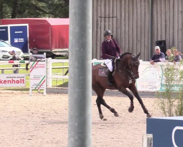 Reitturnier Ladelund 2020
