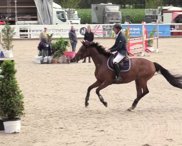 Reitturnier Ladelund 2020