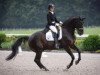 dressage horse Westlife II (Oldenburg, 2003, from Welton)