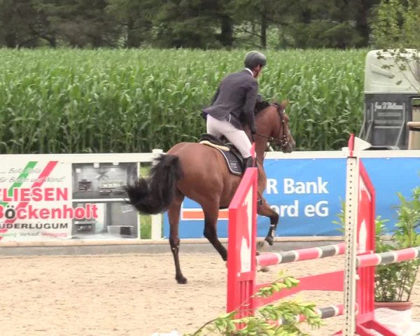 Reitturnier Ladelund 2020