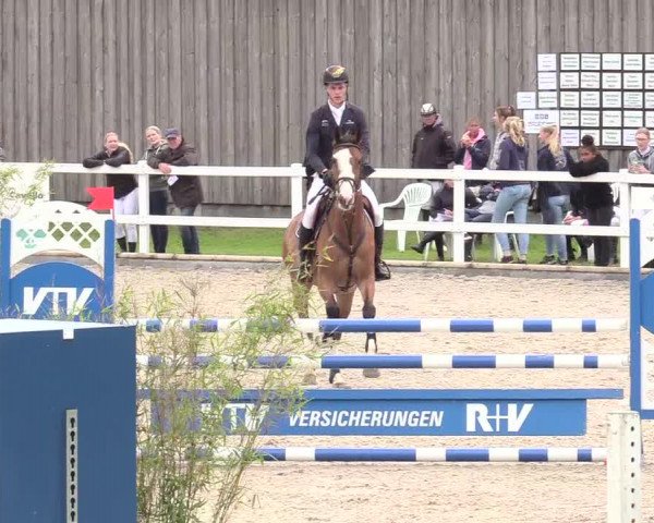 Reitturnier Ladelund 2020
