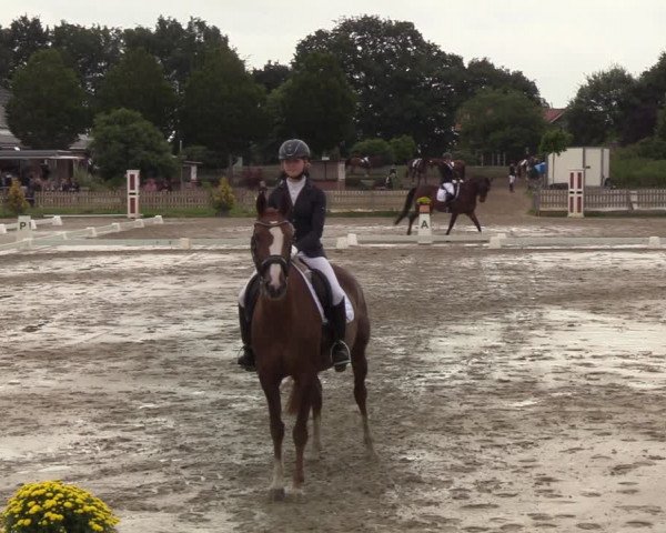 Reitturnier Schülp / Rendsburg 2020