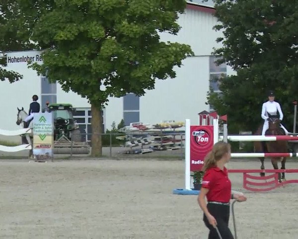 Reitturnier Rot am See- Musdorf 2020
