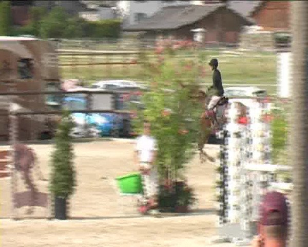Reitturnier Bättwil 2020
