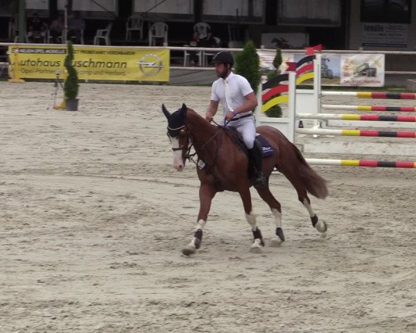 Reitturnier Vlotho-Exter 2020