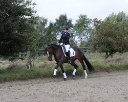 broodmare Freaky Like Me (Hanoverian, 2010, from Fürst Grandios)