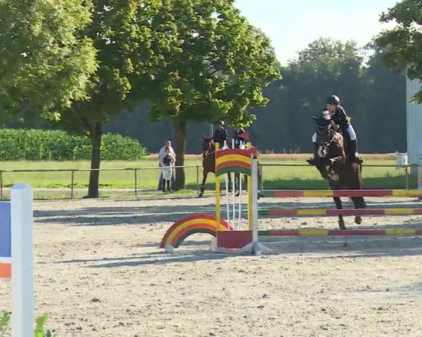 Reitturnier Rot am See- Musdorf 2020