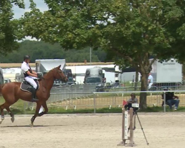 Reitturnier Rot am See- Musdorf 2020