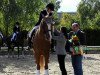 dressage horse Woodock (Hanoverian, 1999, from Wonderland)