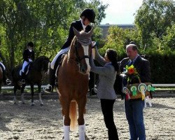 dressage horse Woodock (Hanoverian, 1999, from Wonderland)