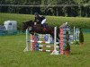 jumper Cora (German Sport Horse, 2004, from Can Can)